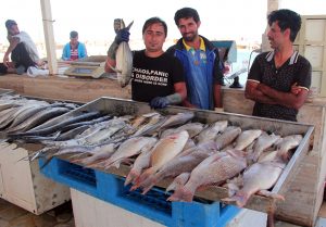 بازار ماهی درکیش